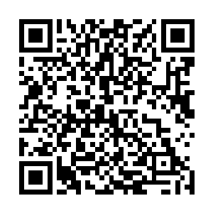 实在是沈丽缇和杜海琼两位美女空姐也不是什么勤快的女人二维码生成