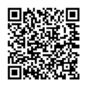 实在是现在林铭拥有的顶尖无上神武已经太多了二维码生成