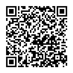 实在是让人匪夷所思……一股寒气缓缓地从司徒溟的脚底向脊背爬去二维码生成