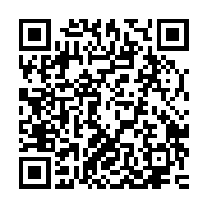 实在是这个龙象法王确实非常变态……才只有宗师级巅峰的修为二维码生成