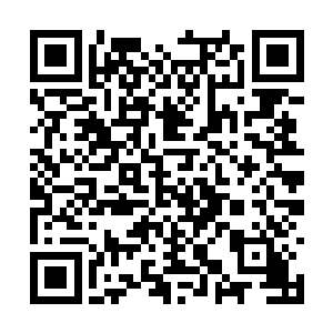 实在有点不敢想象一百年后的自己会是个什么样子二维码生成