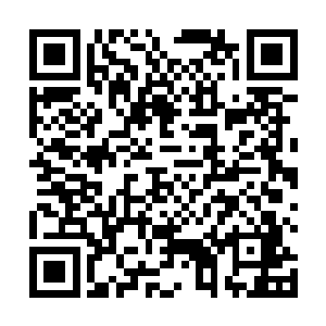 实是我那些美人儿们身上的体香……放眼整个圣元世界二维码生成