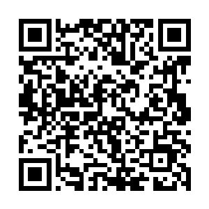 实现全面小康和现代化战略目标的大前提和物质基础二维码生成