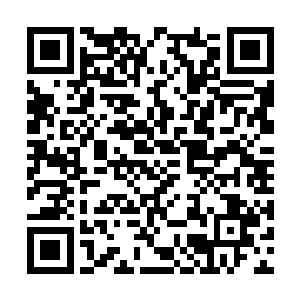实话告诉你吧……早在你和那个人类结成同盟之时二维码生成