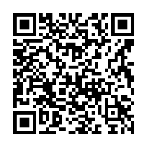 实质上的权威和话语权不是这种形式上的职权能够代替二维码生成