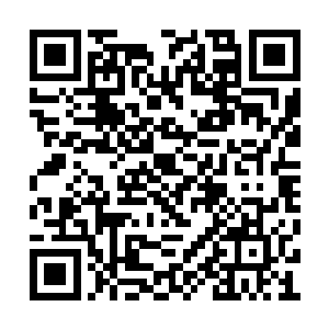 实际上三十六洞天福地并不是为了补充新鲜血液二维码生成