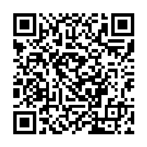 实际上不过是品花老魔养猪一样豢养起来的练功鼎炉二维码生成