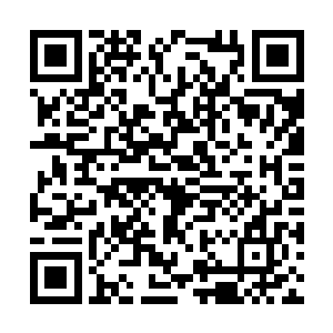 实际上为了在这么点厚的盔甲中再搞出一层这东西二维码生成