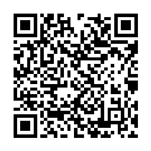 实际上也只堪堪达到了二代始祖萨麦尔亲王的位阶二维码生成