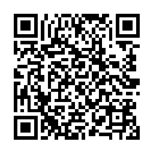 实际上他也知道儿子叶翔突然昏迷不醒多半是秦方下的手二维码生成