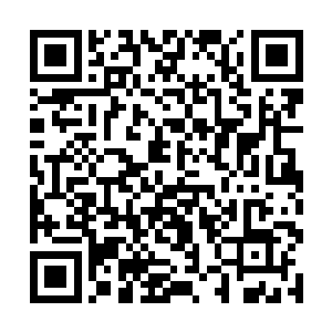 实际上却是厉灵海偷偷将雷霆之力送入地底潜伏起来二维码生成