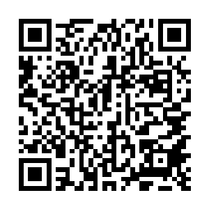 实际上只要定金的百分之三十就能够把整个单子坐下来二维码生成