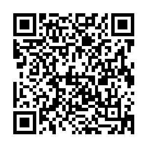 实际上只要想我可以让大古直接用时空熔断带我们过去二维码生成