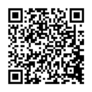 实际上在两女选择踏入桃花林的时候变已经是有了决定了二维码生成