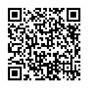 实际上实地核实的结果只要了半年时间就出来了二维码生成