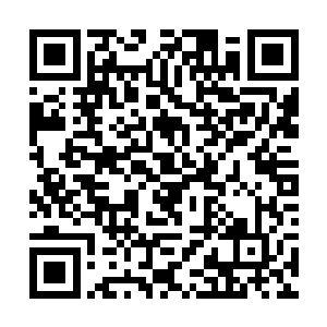 实际上就是为了推选新的副会级单位及荣誉理事单位二维码生成