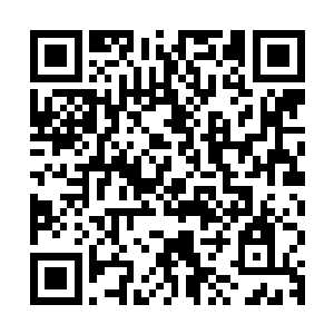 实际上已经用第三只眼将对她格外留意的高阶修士都扫视了一遍二维码生成