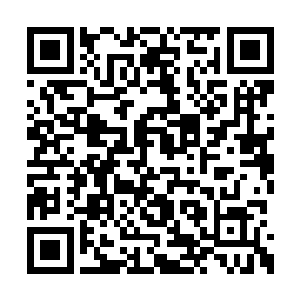 实际上是因为被钱师傅那句野战后怀孕给迷惑了二维码生成