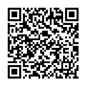 实际上是当初抓了一头血脉高级的魔人炼化而成二维码生成