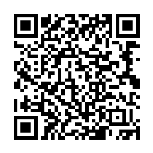 实际上是想通过老妈在花旗银行的人脉争取到一笔贷款二维码生成