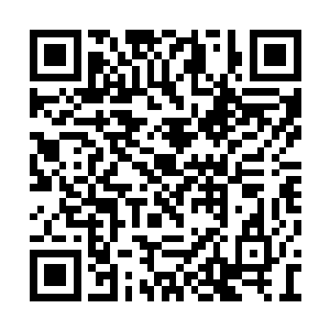 实际上是百族修士没有心思虐待上元大陆的修士二维码生成