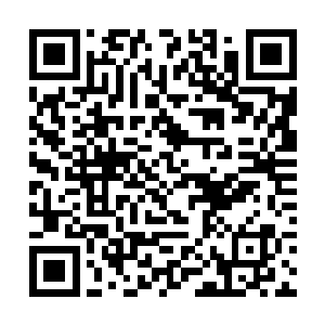 实际上有这么一处宅子还买下侍妾他还是另有目的的二维码生成