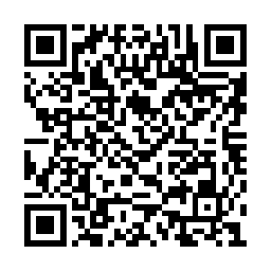 实际上的身份却是华能集团董事会九大议员之一二维码生成