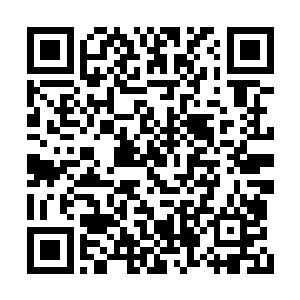 实际上背后或多或少都有着某些大家族的背景在二维码生成