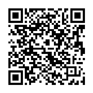 实际上许紫烟则是将这段儿建木的根茎直接收进了紫烟空间二维码生成