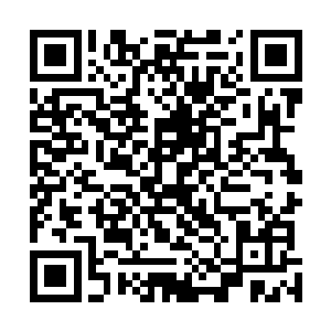 实际上这些丹道基础不仅仅是对许紫烟来说没有什么难度二维码生成