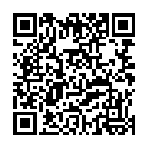 实际上这些骷髅对五个域外天魔起到的作用只能够是消耗二维码生成