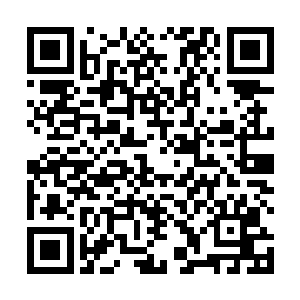 实际上这张床所有框架全都是选用形状合适的天然骨骼二维码生成