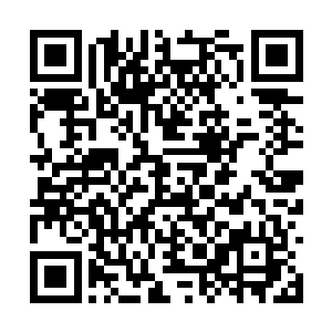 实际上连她都有些不明白自己怎么就喜欢上了叶秋二维码生成