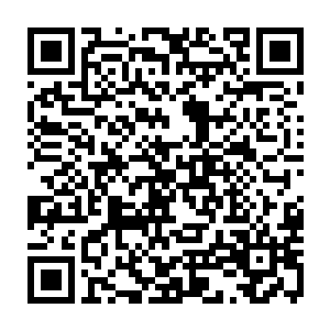 实际上颜承泽在听到同事介绍前半句后就已经压根懒得理后面究竟说了啥了二维码生成