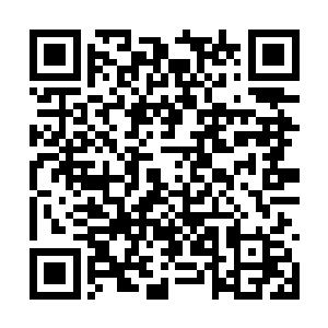 实际对于自己说林大圣阵法水平高这一点嗤之以鼻二维码生成