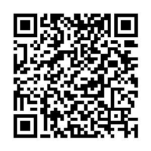 实验的对象就是她家的野鸡还有单独隔出来的十只长耳兽二维码生成