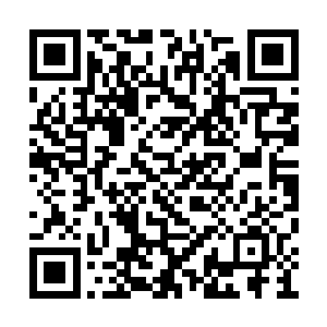 宠物们都大致了解到了一些公开的信息后回来了二维码生成