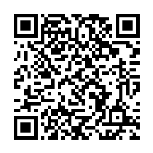 审核出现问题或者直接就说你的药品检测出有害物质二维码生成