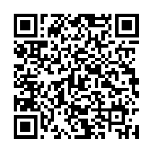 审读工作让边学道拥有远超普通人的信息储备不假二维码生成