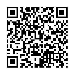 客人接到妹妹后我们不再保留客人的号码等联系方式二维码生成