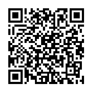 客栈的门再次打开这一回换了个老者站到门口冲他们招手二维码生成