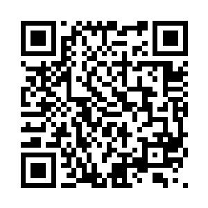 宣布在墨西哥警方和国际刑警组织的协助下二维码生成