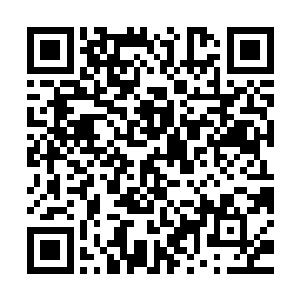 宣白枫这话随着之前的话都一丝不漏得传入赤壁平原诸人的耳中二维码生成