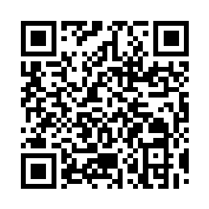 室内丛林中的阳光缓缓照耀整个丛林时二维码生成