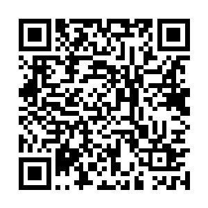 室内的秦林和金樱姬哪里晓得屋顶上多了个偷窥者二维码生成