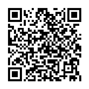 宫主也相信那夏侯赢会带着萧黎前往神医谷求医二维码生成