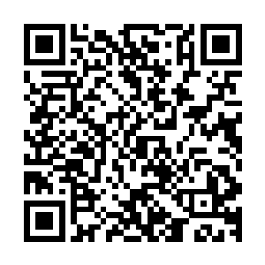 宫内昏暗的灯盏使得湖边竹子的倒影映在了她们母女的衣物上二维码生成