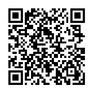 宫本长田被一个班的士兵押解着回到了食物摆放的地点二维码生成