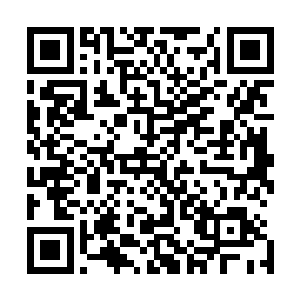 宫本雅阁还没来得及向世界宣布他培养出来一个杰出的弟子二维码生成