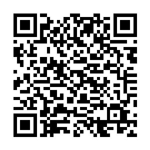 宫殿之内一张巨大的黑色高背椅子上此时坐着一个双头魔二维码生成
